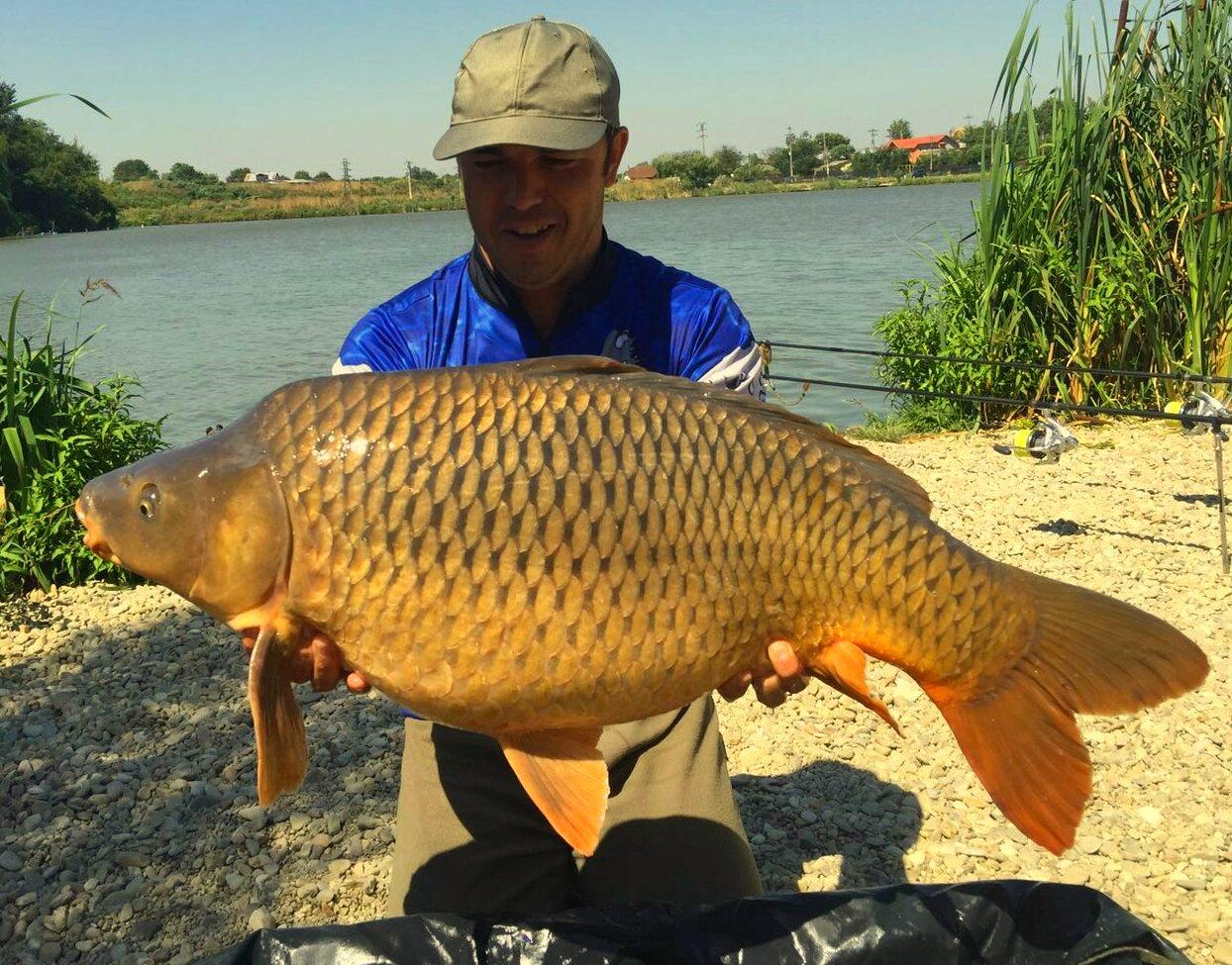 Hermes Peris 15 - 16 iulie 2016 - img-20160717-wa00141.jpg